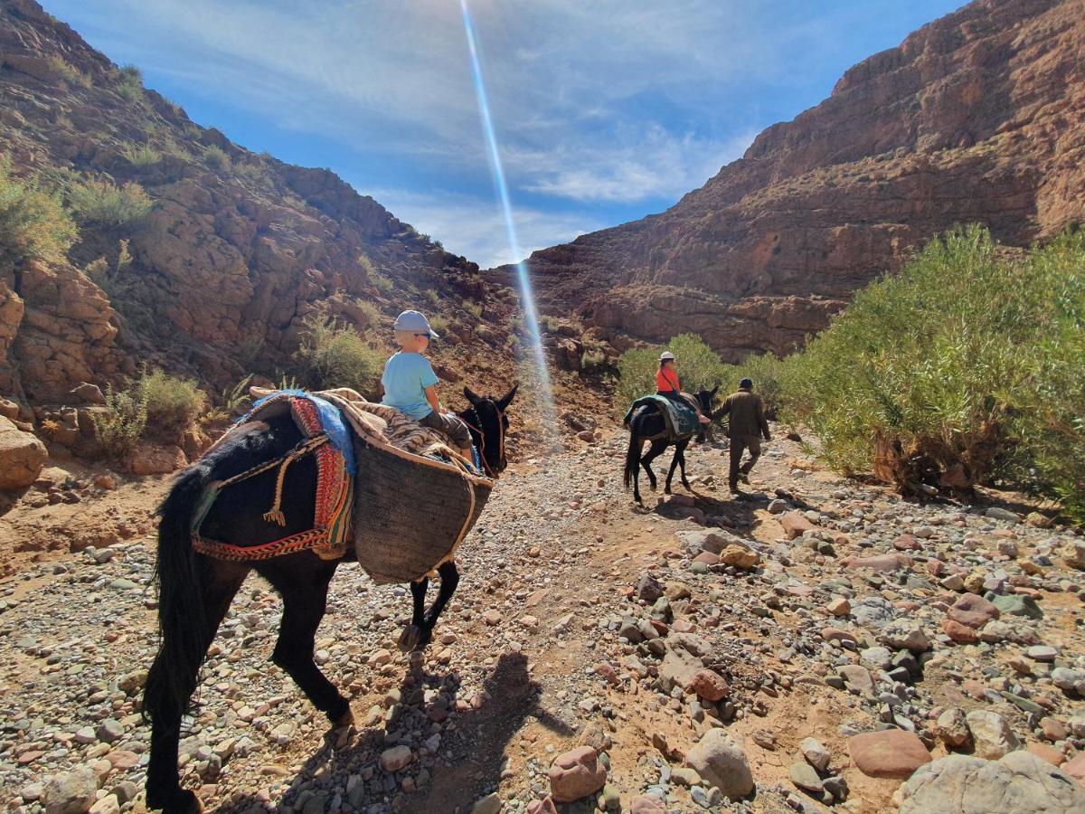 فندق Kasbah Chems الكيلا دي مجونة المظهر الخارجي الصورة
